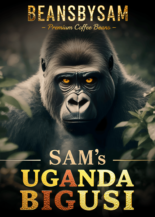 1758005859418_2126x3070